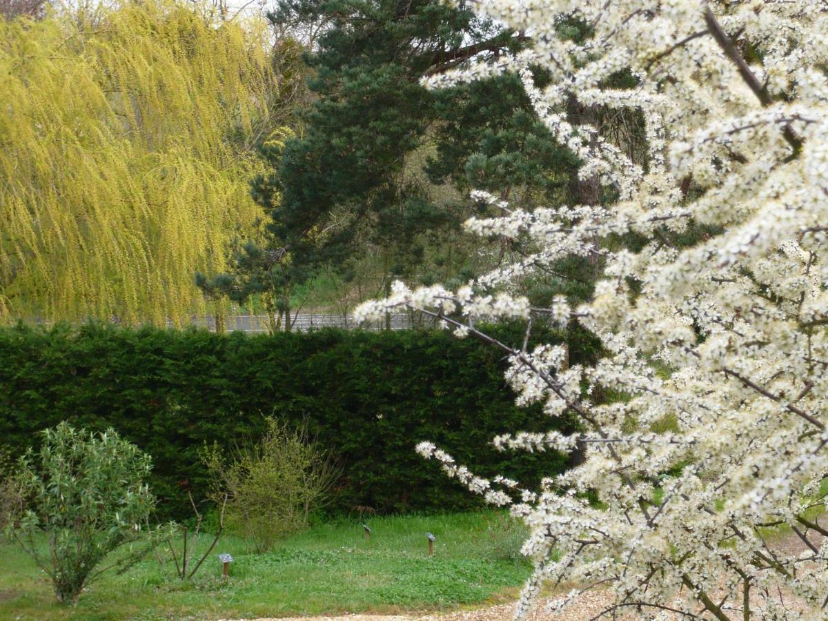 سوموور Gite Les Jardins De Terrefort المظهر الخارجي الصورة